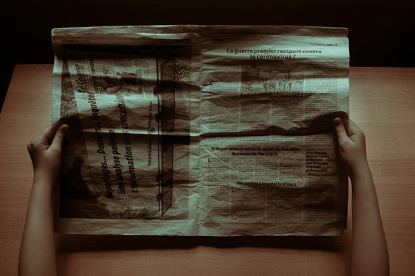 How Does Pet Behavior Vary with Seasons in the UK?